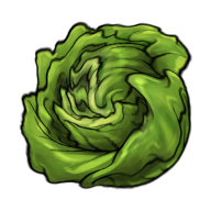 Floating Lettuce